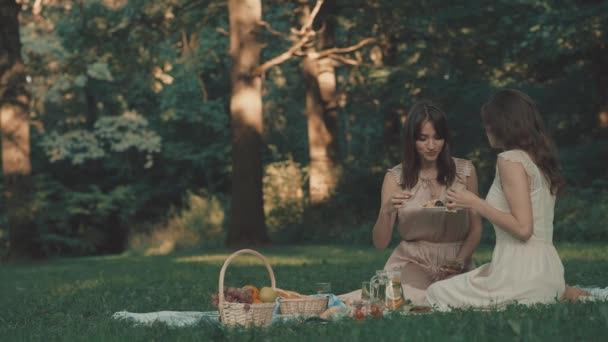 Young Girls Picnic Outdoors — Stock Video