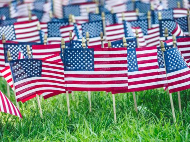 Parkta çim Amerikan bayrakları