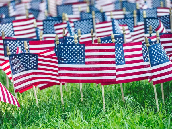 Αμερικανικές Σημαίες Στο Γρασίδι Στο Πάρκο — Φωτογραφία Αρχείου