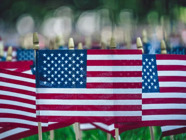 American Flags Grass Close — Stock Photo, Image