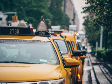 New York'ta sarı taksileri satırı