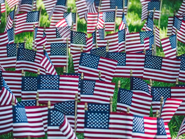 Unabhängigkeitstag Amerikas Sommerpark — Stockfoto