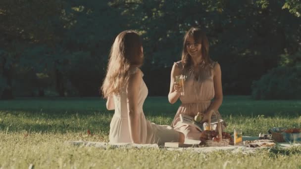 Hermosas Chicas Picnic — Vídeos de Stock