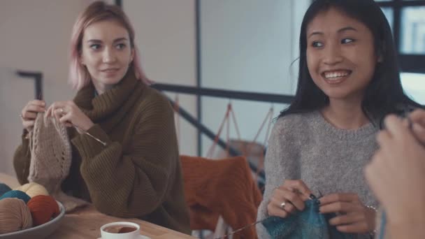 Meninas Jovens Uma Lição Tricô — Vídeo de Stock