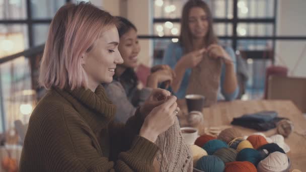 Young Girls Knitting Lesson Indoors — Stock Video