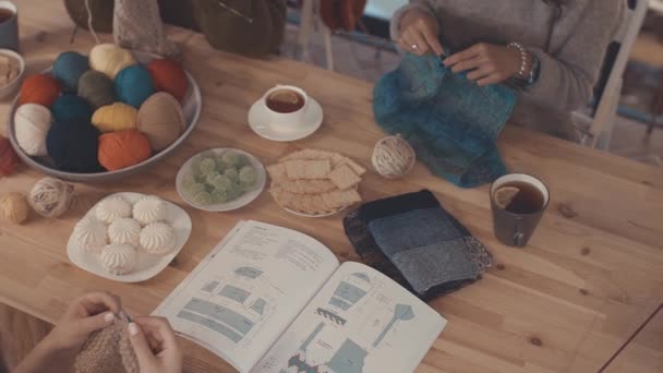 Young Girls Knitting Studio — Stock Video