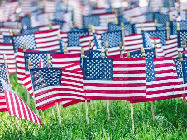 Memorial Day American Park — Stock Photo, Image