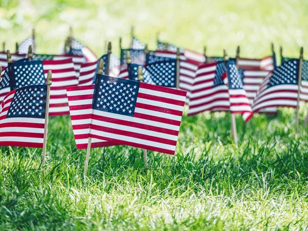 Αμερικανικές Σημαίες Στο Γρασίδι Στο Πάρκο — Φωτογραφία Αρχείου