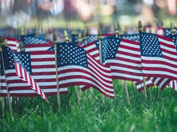 Amerikanska Flaggor Gräset Parken — Stockfoto