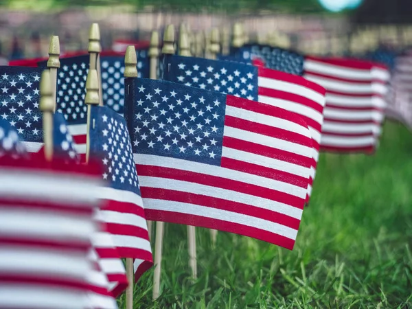 Amerikansk Flagdag Parken - Stock-foto