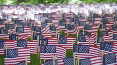 Anma günü, parkta Amerikan bayrakları