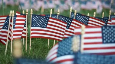 Tatil çimlerin üzerine Amerikan bayrakları