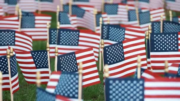 Αμερικανικές Σημαίες Για Εμάς Ημέρα Της Ανεξαρτησίας — Αρχείο Βίντεο