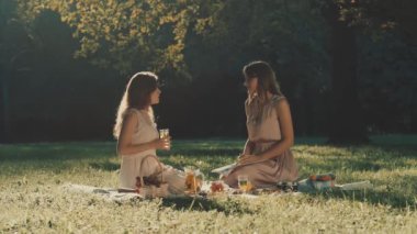 Çekici kız parkta piknik açık
