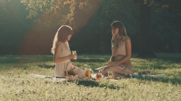 Mooie Meisjes Een Picknick Zomer — Stockvideo