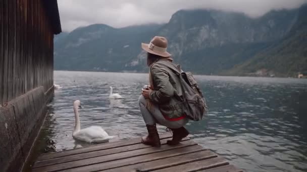 Joven Fotógrafo Con Cisnes Lago — Vídeo de stock