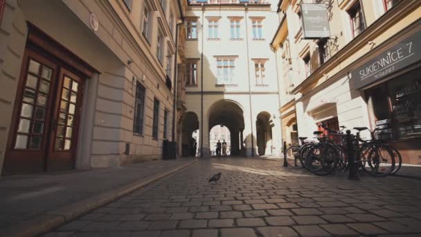 Sunny Street Wroclaw Polen — Stockvideo
