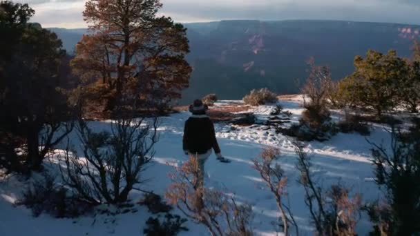 Vonzó lány a Grand Canyon — Stock videók