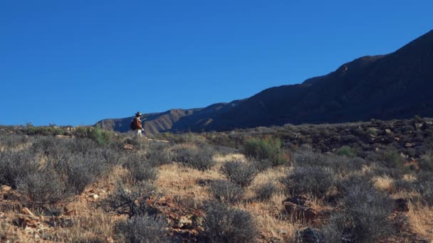 Giovane ragazza che viaggia nel deserto — Video Stock