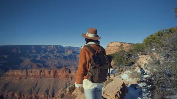 Viajero joven en el Gran Cañón — Vídeo de stock