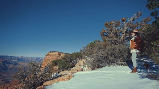 Ung resenär med ryggsäck i Grand Canyon — Stockvideo