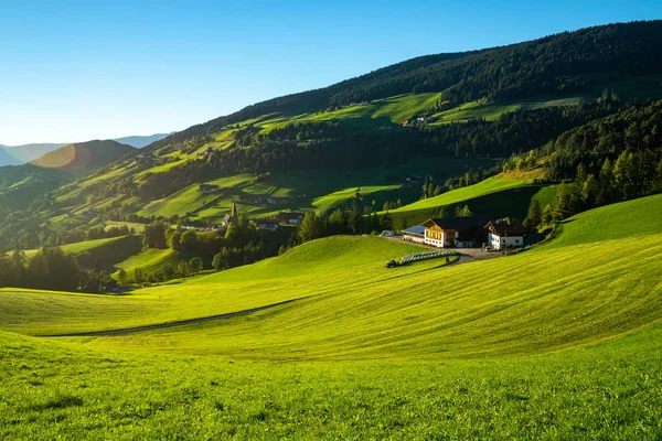 Blick auf die Wiese — Stockfoto