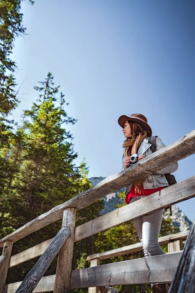 Mujer atractiva en un puente de madera — Foto de Stock