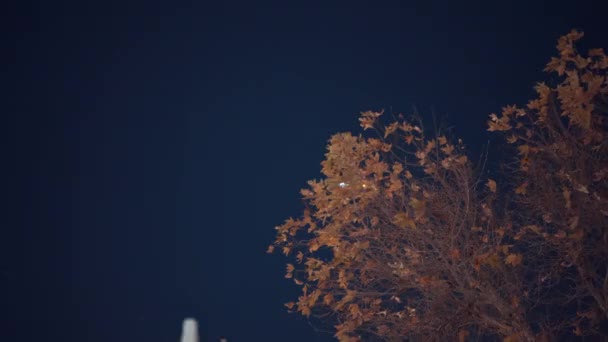 飞机在夜间在天空中飞行 — 图库视频影像