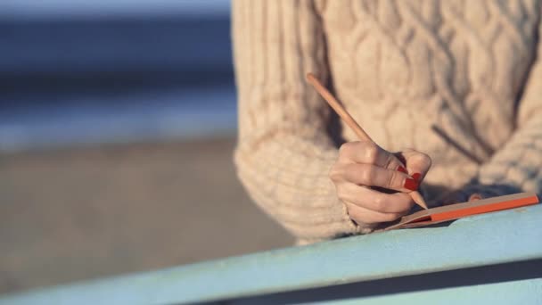 カリフォルニアの海のそばにメモ帳を持つ若い女の子 — ストック動画