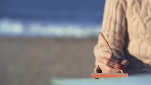 Chica Joven Escribiendo Una Playa California — Vídeos de Stock