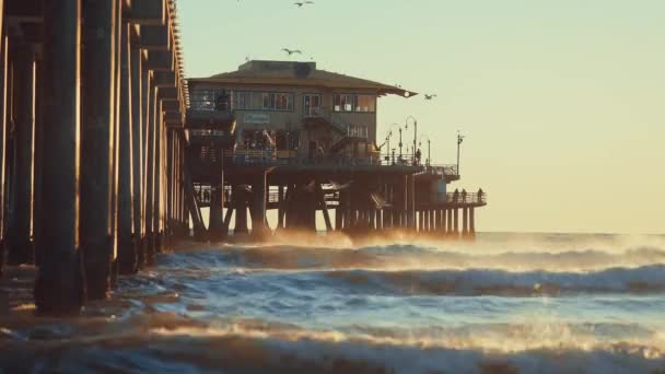 Pier California Light Sun — Stock Video