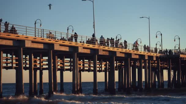 Pessoas Cais Santa Monica Los Angeles — Vídeo de Stock