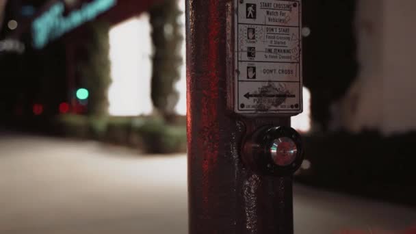 Young Girl Pushing Button Traffic Light Los Angeles — 비디오