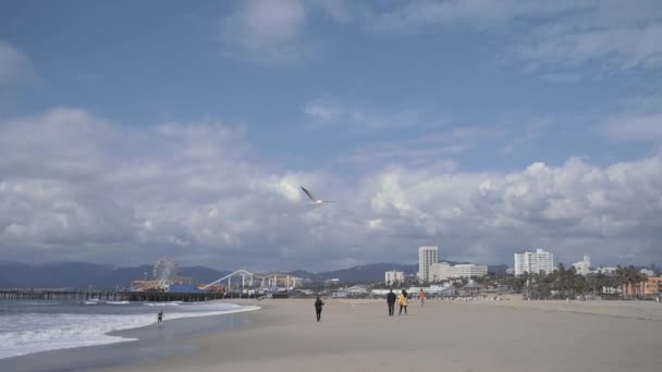カリフォルニア州サンタモニカのビーチでカモメを飛ばす — ストック動画