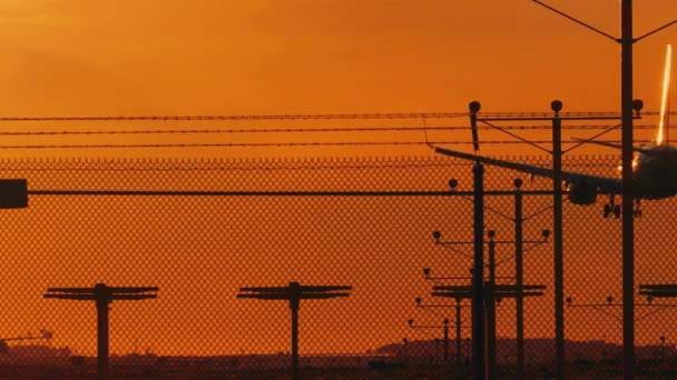 Landing Aircraft Airport Los Angeles Sunset — Stock Video