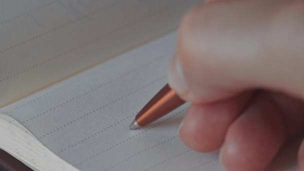 Vrouwelijke Hand Schrijven New York Ity Een Notebook — Stockvideo