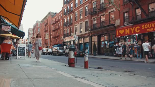 穿着裙子的年轻女孩在纽约街头行走 — 图库视频影像