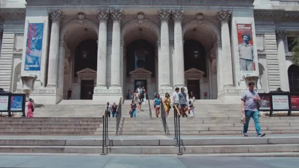 Молодой Турист Прогуливается Музее Нью Йорке — стоковое видео