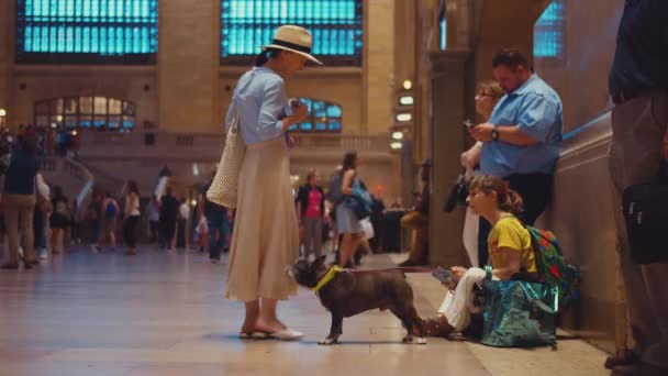 New York Bir Tren Istasyonunda Genç Bir Turist Köpeği Okşuyor — Stok video