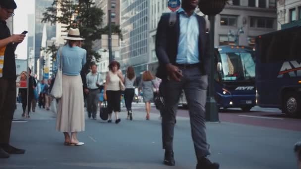 Young Tourist Crosswalk City — Stock Video