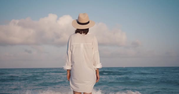 Glückliche Reisende Meer Strand — Stockvideo