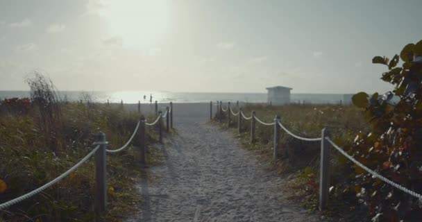 Happy Young Woman Beach Miami — Stock Video