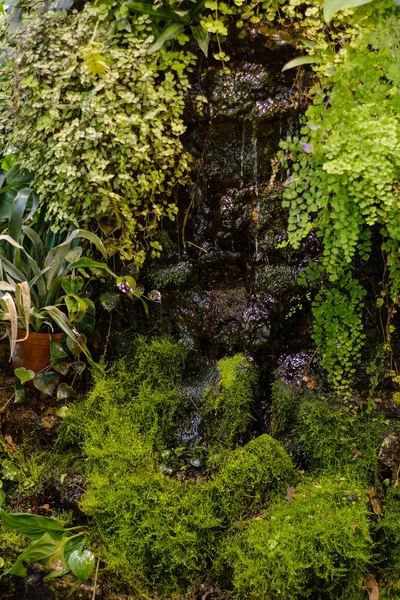 Небольшой Декоративный Водопад Окруженный Зелеными Растениями Травой — стоковое фото