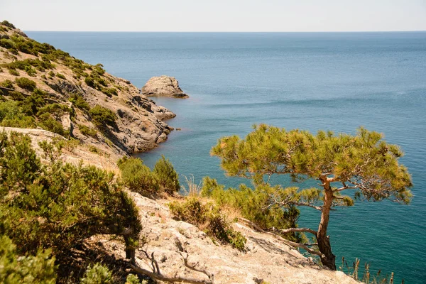 Schöner Blick auf die Schwarzmeerküste der Krim — Stockfoto