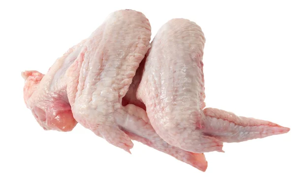 白地に隔離された生の鶏の羽 — ストック写真