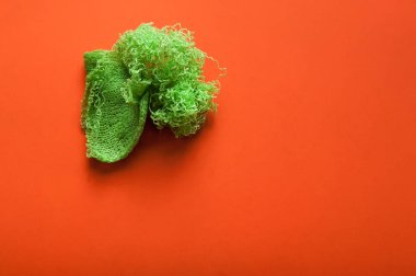 Kırmızı Plastik Sünger