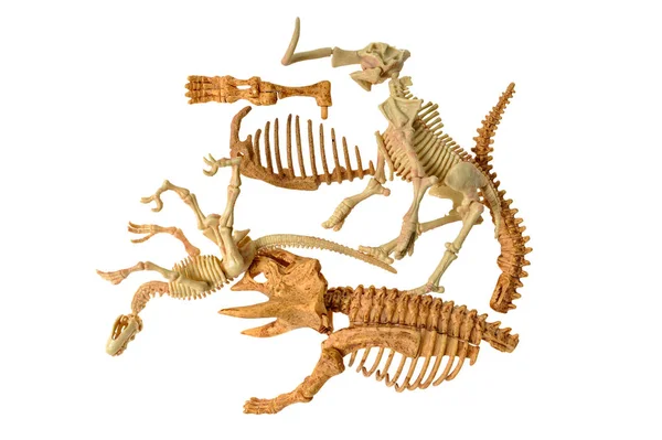 Toy Dinosaur Bones Isolated White Background — Stock Photo, Image