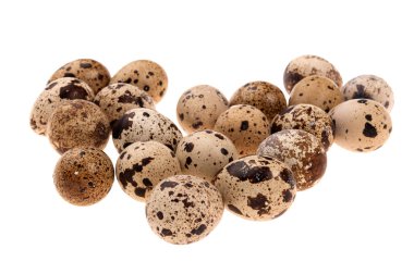 izole bıldırcın yumurtası