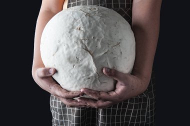 Elde dev puf mantarı