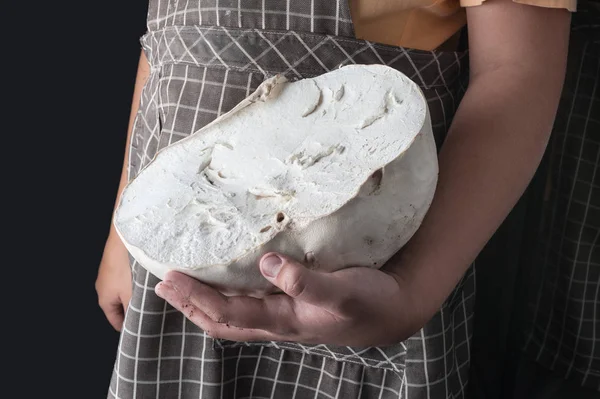 cut giant puffball mushroom on hand